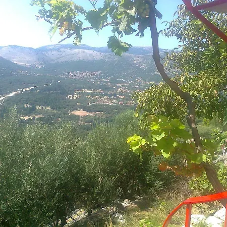 Lemon House