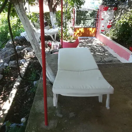 Lemon House