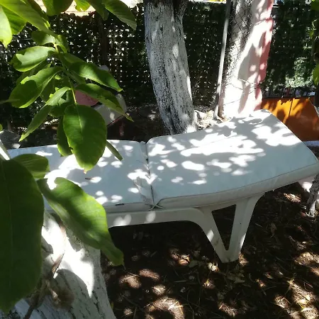 Lemon House