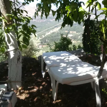 Lemon House *